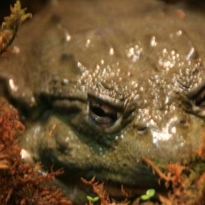 Meet your Posher, John p